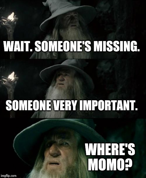 Confused Gandalf Meme | WAIT. SOMEONE'S MISSING. SOMEONE VERY IMPORTANT. WHERE'S MOMO? | image tagged in memes,confused gandalf | made w/ Imgflip meme maker