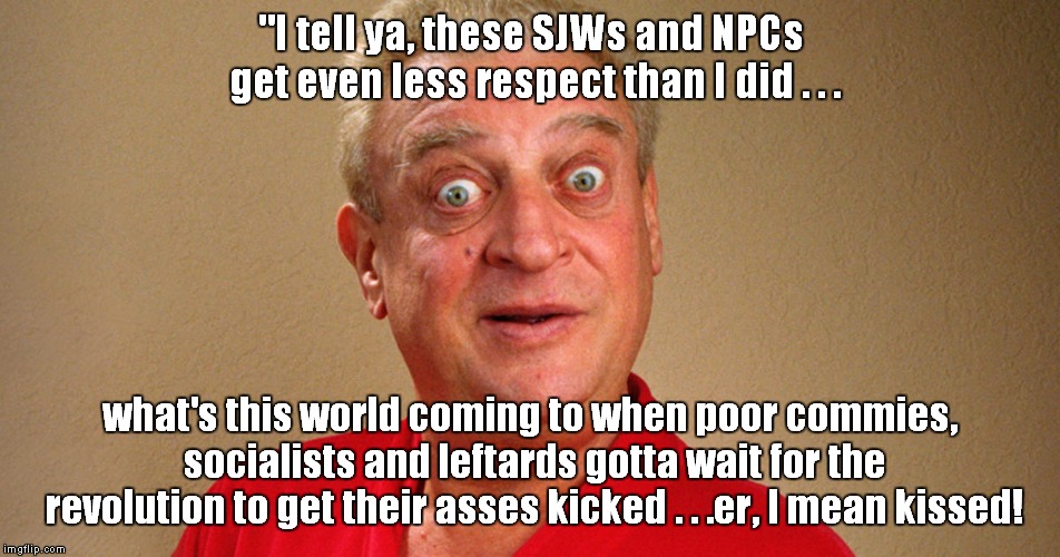 SJWs get no R-E-S-P-E-C-T! | "I tell ya, these SJWs and NPCs get even less respect than I did . . . what's this world coming to when poor commies, socialists and leftards gotta wait for the revolution to get their asses kicked . . .er, I mean kissed! | image tagged in sjws,rodney dangerfield | made w/ Imgflip meme maker