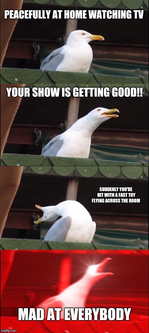 Inhaling Seagull Meme | PEACEFULLY AT HOME WATCHING TV; YOUR SHOW IS GETTING GOOD!! SUDDENLY YOU'RE HIT WITH A FAST TOY FLYING ACROSS THE ROOM; MAD AT EVERYBODY | image tagged in memes,inhaling seagull | made w/ Imgflip meme maker