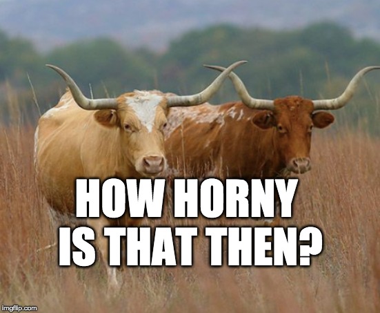 HOW HORNY IS THAT THEN? | made w/ Imgflip meme maker