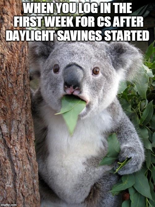 Surprised Koala Meme | WHEN YOU LOG IN THE FIRST WEEK FOR CS AFTER DAYLIGHT SAVINGS STARTED | image tagged in memes,surprised koala | made w/ Imgflip meme maker