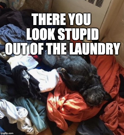 THERE YOU LOOK STUPID OUT OF THE LAUNDRY | made w/ Imgflip meme maker