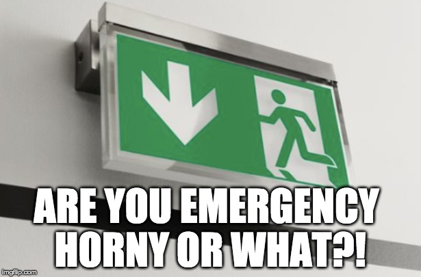 ARE YOU EMERGENCY HORNY OR WHAT?! | made w/ Imgflip meme maker