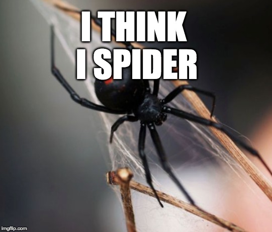I THINK I SPIDER | made w/ Imgflip meme maker