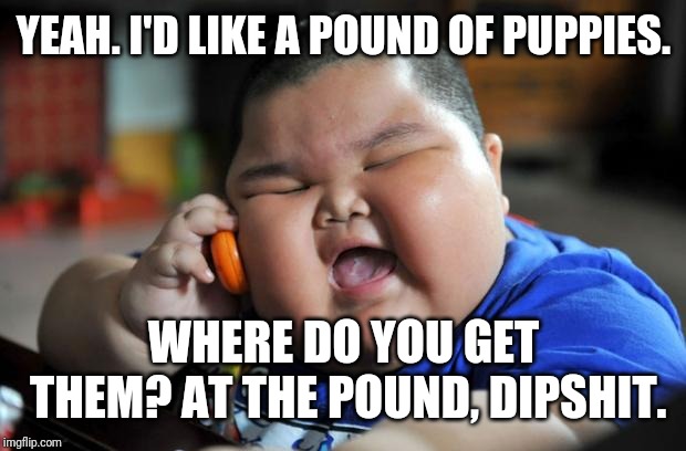 Fat Asian Kid | YEAH. I'D LIKE A POUND OF PUPPIES. WHERE DO YOU GET THEM? AT THE POUND, DIPSHIT. | image tagged in fat asian kid | made w/ Imgflip meme maker