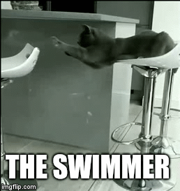 THE SWIMMER | image tagged in gifs | made w/ Imgflip video-to-gif maker