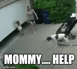 MOMMY.... HELP | image tagged in gifs | made w/ Imgflip video-to-gif maker