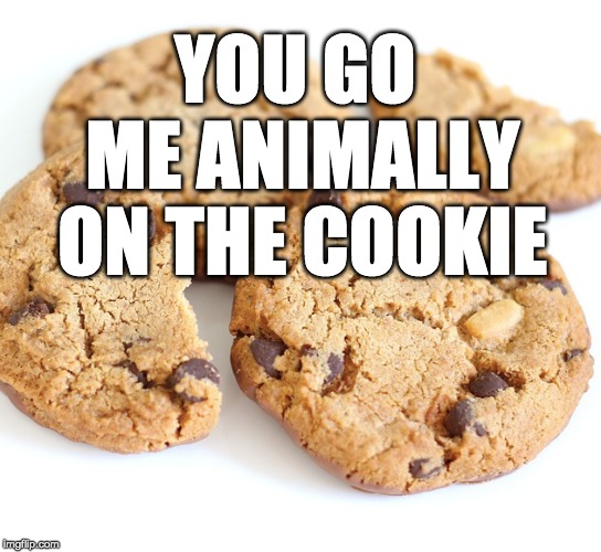 YOU GO ME ANIMALLY ON THE COOKIE | made w/ Imgflip meme maker