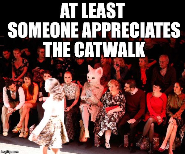 Weird cat lady |  AT LEAST SOMEONE APPRECIATES THE CATWALK | image tagged in meme,cute cat,funny,approval,models | made w/ Imgflip meme maker