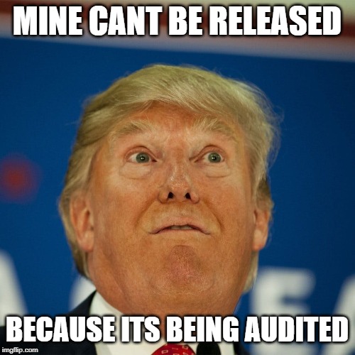 MINE CANT BE RELEASED BECAUSE ITS BEING AUDITED | made w/ Imgflip meme maker