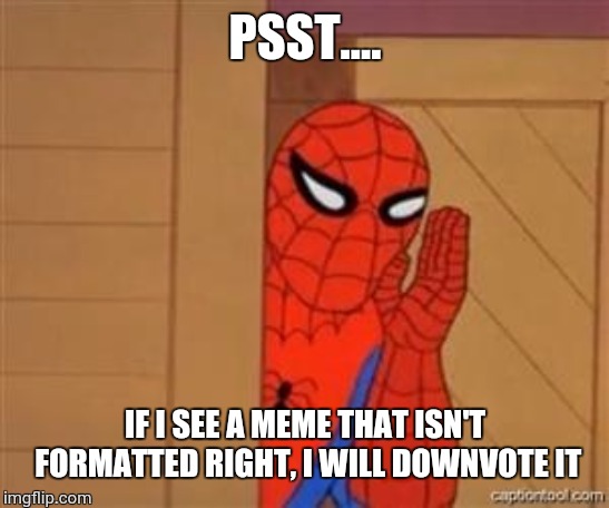psst spiderman | PSST.... IF I SEE A MEME THAT ISN'T FORMATTED RIGHT, I WILL DOWNVOTE IT | image tagged in psst spiderman | made w/ Imgflip meme maker
