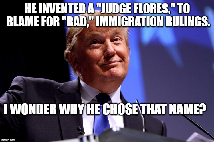 Donald Trump No2 | HE INVENTED A "JUDGE FLORES," TO BLAME FOR "BAD," IMMIGRATION RULINGS. I WONDER WHY HE CHOSE THAT NAME? | image tagged in donald trump no2 | made w/ Imgflip meme maker