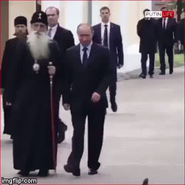 Even the birds are afraid of Putin! | image tagged in gifs,funny animals,politics | made w/ Imgflip video-to-gif maker