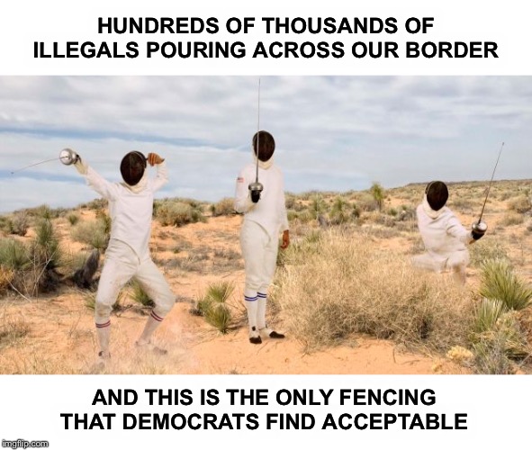 Good fences make for good neighbors.  Build the wall! | HUNDREDS OF THOUSANDS OF ILLEGALS POURING ACROSS OUR BORDER; AND THIS IS THE ONLY FENCING THAT DEMOCRATS FIND ACCEPTABLE | image tagged in the wall,democrats,trump | made w/ Imgflip meme maker