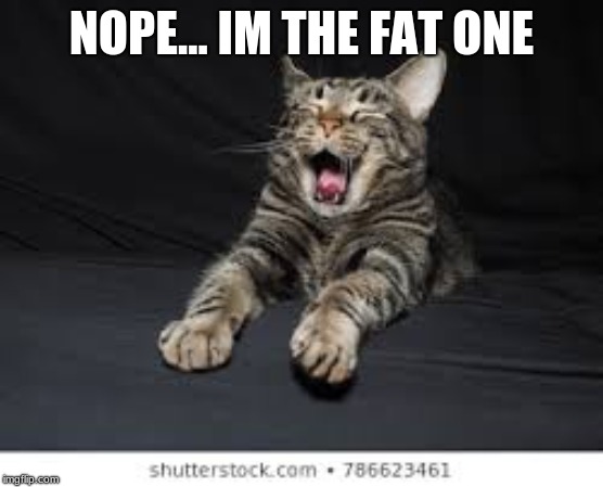 NOPE... IM THE FAT ONE | made w/ Imgflip meme maker