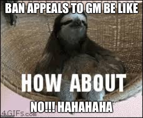 BAN APPEALS TO GM BE LIKE; NO!!! HAHAHAHA | made w/ Imgflip meme maker