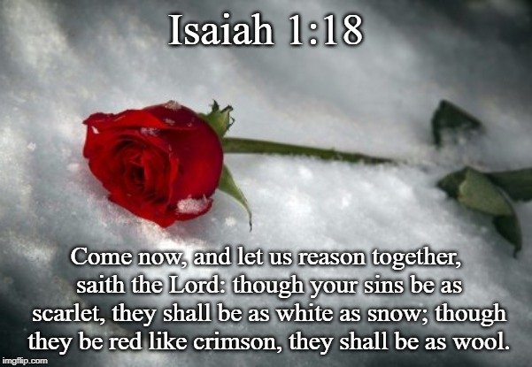 Isaiah 1:18; Come now, and let us reason together, saith the Lord: though your sins be as scarlet, they shall be as white as snow; though they be red like crimson, they shall be as wool. | image tagged in rose in snow | made w/ Imgflip meme maker