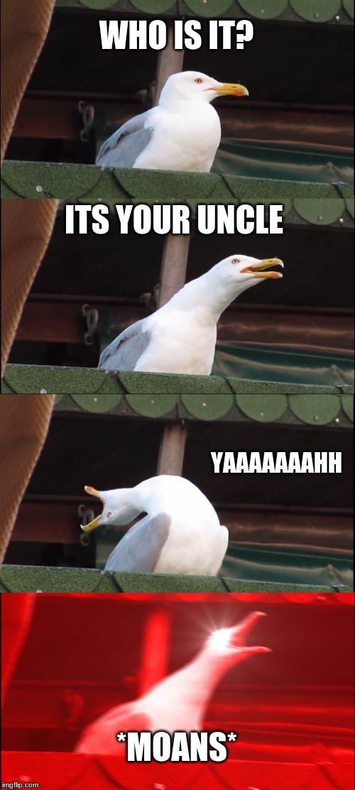 Inhaling Seagull | WHO IS IT? ITS YOUR UNCLE; YAAAAAAAHH; *MOANS* | image tagged in memes,inhaling seagull | made w/ Imgflip meme maker