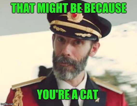 Captain Obvious | THAT MIGHT BE BECAUSE YOU'RE A CAT | image tagged in captain obvious | made w/ Imgflip meme maker