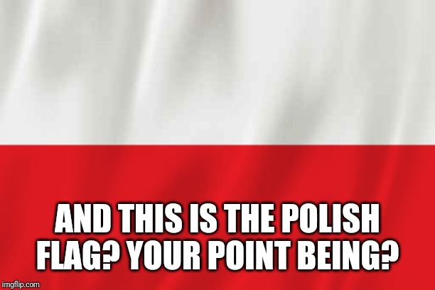 Poland | AND THIS IS THE POLISH FLAG? YOUR POINT BEING? | image tagged in poland | made w/ Imgflip meme maker