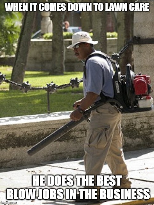 Leaf blower | WHEN IT COMES DOWN TO LAWN CARE; HE DOES THE BEST BLOW JOBS IN THE BUSINESS | image tagged in leaf blower | made w/ Imgflip meme maker