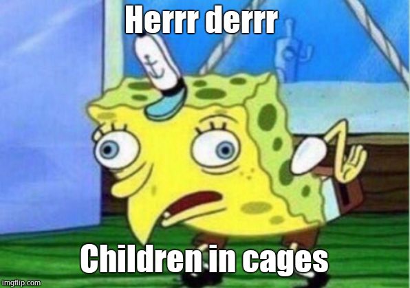 Mocking Spongebob Meme | Herrr derrr Children in cages | image tagged in memes,mocking spongebob | made w/ Imgflip meme maker