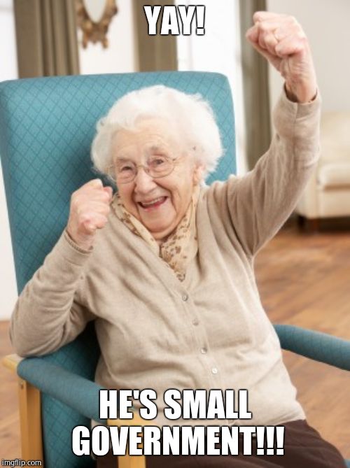 old woman cheering | YAY! HE'S SMALL GOVERNMENT!!! | image tagged in old woman cheering | made w/ Imgflip meme maker