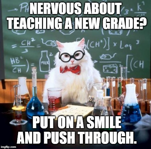 Chemistry Cat | NERVOUS ABOUT TEACHING A NEW GRADE? PUT ON A SMILE AND PUSH THROUGH. | image tagged in memes,chemistry cat | made w/ Imgflip meme maker