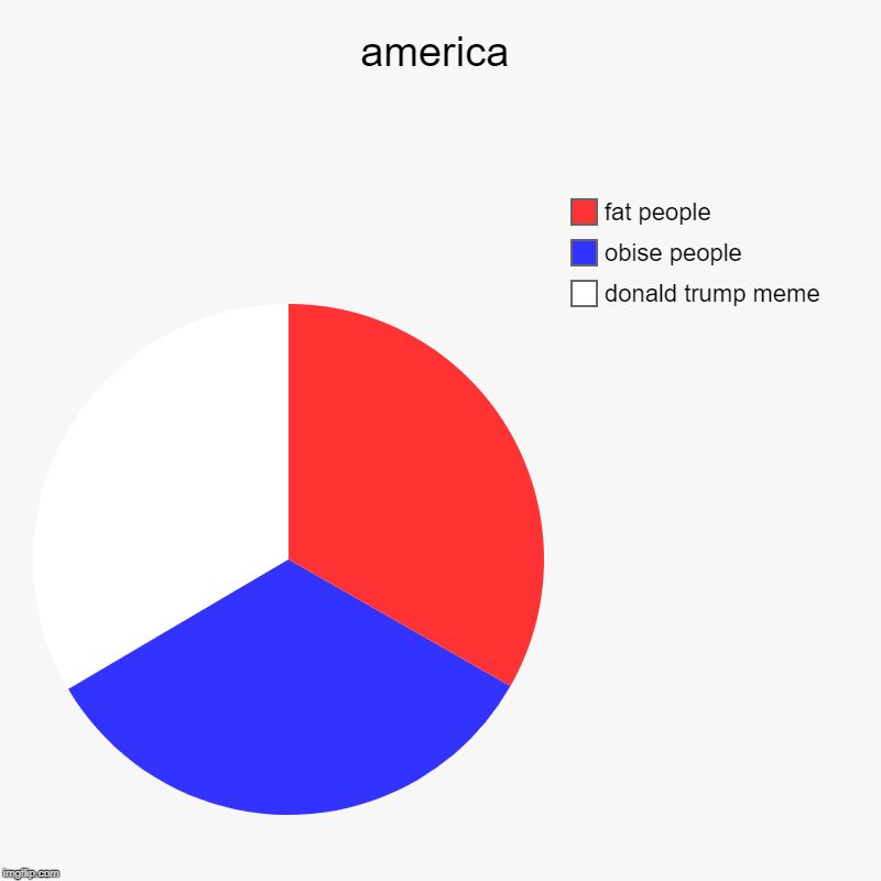 america | donald trump meme, obise people, fat people | image tagged in charts,pie charts | made w/ Imgflip chart maker
