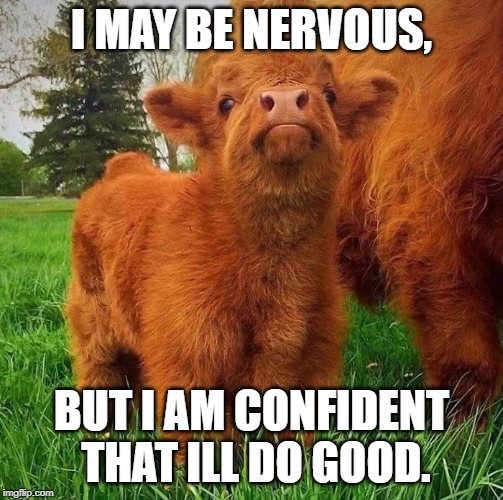 Confidence cow | I MAY BE NERVOUS, BUT I AM CONFIDENT THAT ILL DO GOOD. | image tagged in confidence cow | made w/ Imgflip meme maker