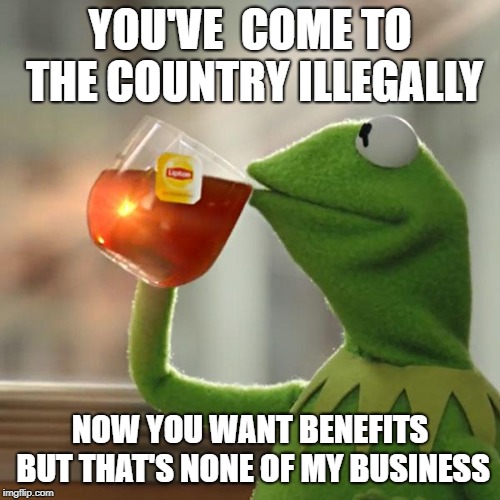 But That's None Of My Business | YOU'VE  COME TO THE COUNTRY ILLEGALLY; NOW YOU WANT BENEFITS BUT THAT'S NONE OF MY BUSINESS | image tagged in memes,but thats none of my business,kermit the frog | made w/ Imgflip meme maker