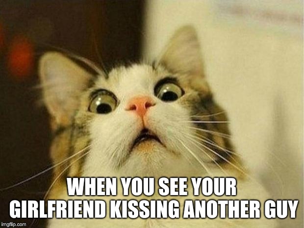 Scared Cat | WHEN YOU SEE YOUR GIRLFRIEND KISSING ANOTHER GUY | image tagged in memes,scared cat | made w/ Imgflip meme maker