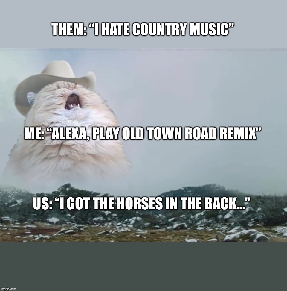 Screaming Cowboy Cat | THEM: “I HATE COUNTRY MUSIC”; ME: “ALEXA, PLAY OLD TOWN ROAD REMIX”; US: “I GOT THE HORSES IN THE BACK...” | image tagged in screaming cowboy cat | made w/ Imgflip meme maker