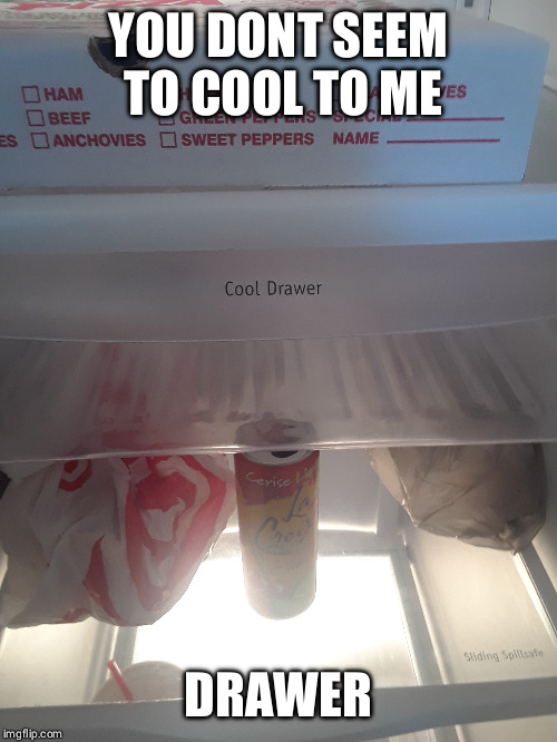 Drawers thinking their cool...psssh | YOU DONT SEEM TO COOL TO ME; DRAWER | image tagged in fridge,cool,drawer | made w/ Imgflip meme maker