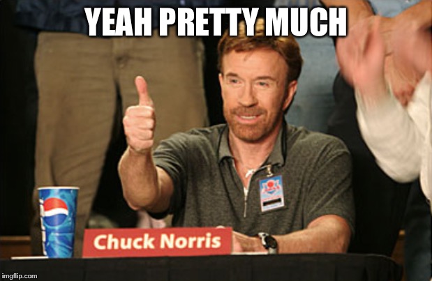 Chuck Norris Approves Meme | YEAH PRETTY MUCH | image tagged in memes,chuck norris approves,chuck norris | made w/ Imgflip meme maker