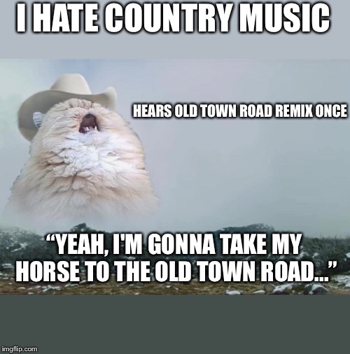 Screaming Cowboy Cat |  I HATE COUNTRY MUSIC; HEARS OLD TOWN ROAD REMIX ONCE; “YEAH, I'M GONNA TAKE MY HORSE TO THE OLD TOWN ROAD...” | image tagged in screaming cowboy cat | made w/ Imgflip meme maker