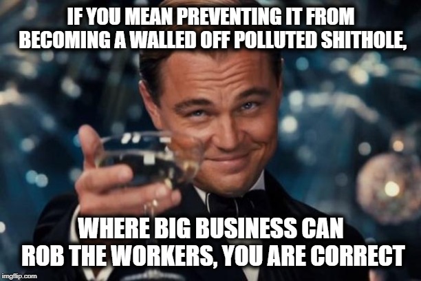 Leonardo Dicaprio Cheers Meme | IF YOU MEAN PREVENTING IT FROM BECOMING A WALLED OFF POLLUTED SHITHOLE, WHERE BIG BUSINESS CAN ROB THE WORKERS, YOU ARE CORRECT | image tagged in memes,leonardo dicaprio cheers | made w/ Imgflip meme maker