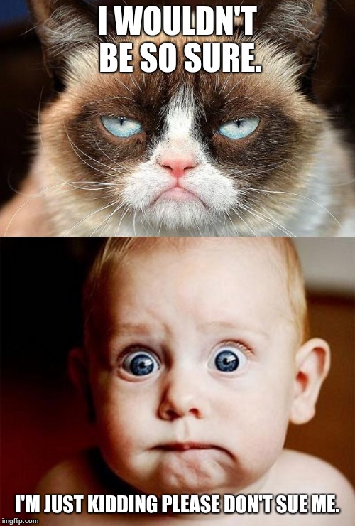 I WOULDN'T BE SO SURE. I'M JUST KIDDING PLEASE DON'T SUE ME. | image tagged in memes,grumpy cat not amused,oops | made w/ Imgflip meme maker
