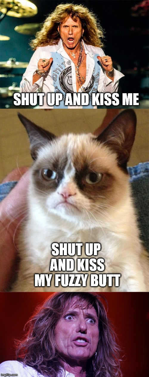 SHUT UP AND KISS ME SHUT UP AND KISS MY FUZZY BUTT | image tagged in memes,grumpy cat | made w/ Imgflip meme maker