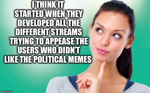 I THINK IT STARTED WHEN THEY DEVELOPED ALL THE DIFFERENT STREAMS TRYING TO APPEASE THE USERS WHO DIDN’T LIKE THE POLITICAL MEMES | made w/ Imgflip meme maker