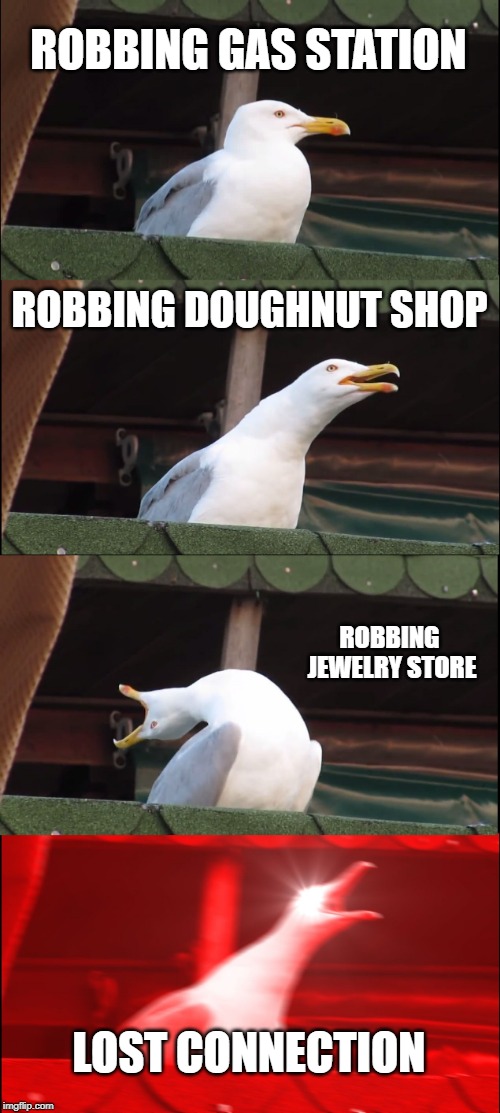 Inhaling Seagull | ROBBING GAS STATION; ROBBING DOUGHNUT SHOP; ROBBING JEWELRY STORE; LOST CONNECTION | image tagged in memes,inhaling seagull | made w/ Imgflip meme maker