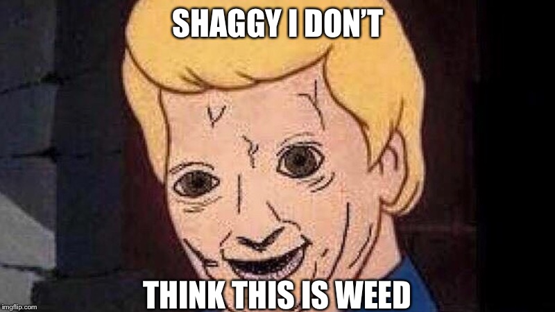 SHAGGY I DON’T; THINK THIS IS WEED | image tagged in messed up fred | made w/ Imgflip meme maker