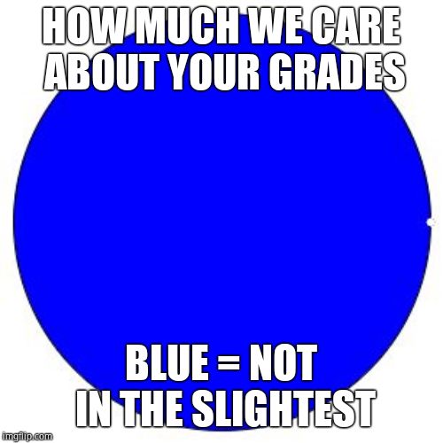 100% Pie Chart | HOW MUCH WE CARE ABOUT YOUR GRADES BLUE = NOT IN THE SLIGHTEST | image tagged in 100 pie chart | made w/ Imgflip meme maker