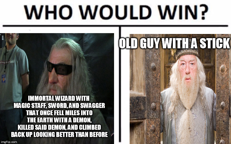 To people who say Harry Potter is better than Lord of the Rings | OLD GUY WITH A STICK; IMMORTAL WIZARD WITH MAGIC STAFF, SWORD, AND SWAGGER THAT ONCE FELL MILES INTO THE EARTH WITH A DEMON, KILLED SAID DEMON, AND CLIMBED BACK UP LOOKING BETTER THAN BEFORE | image tagged in who would win | made w/ Imgflip meme maker