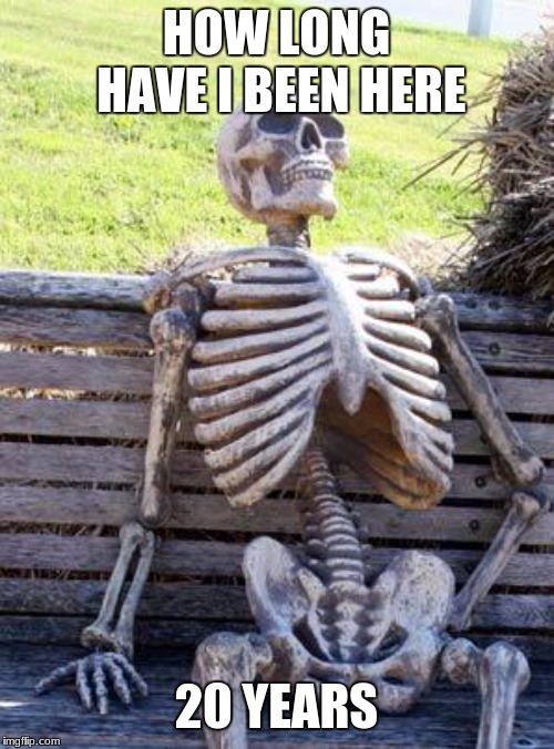 Waiting Skeleton Meme | HOW LONG HAVE I BEEN HERE 20 YEARS | image tagged in memes,waiting skeleton | made w/ Imgflip meme maker