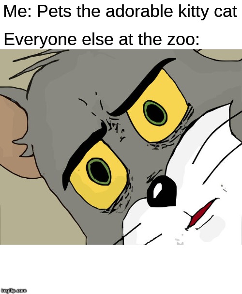 Unsettled Tom | Me: Pets the adorable kitty cat; Everyone else at the zoo: | image tagged in memes,unsettled tom | made w/ Imgflip meme maker