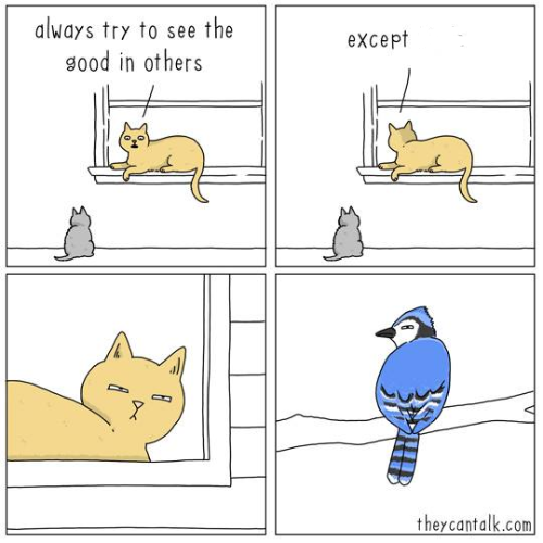 Cat and Bird Blank Meme Template