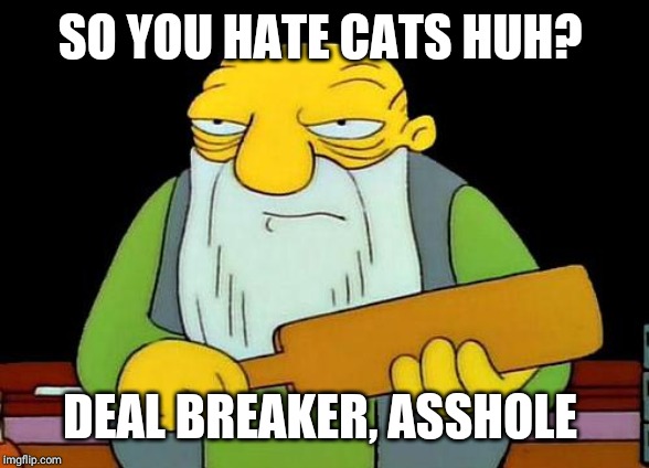 Spank the Wanks | SO YOU HATE CATS HUH? DEAL BREAKER, ASSHOLE | image tagged in memes,that's a paddlin',the simpsons,funny meme,angry,cat | made w/ Imgflip meme maker