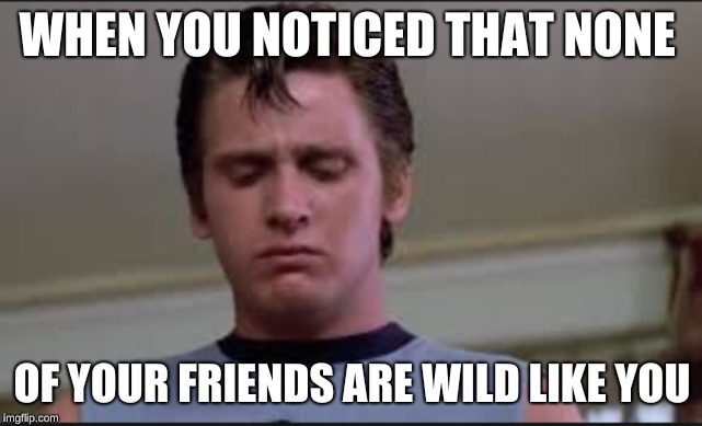 WHEN YOU NOTICED THAT NONE; OF YOUR FRIENDS ARE WILD LIKE YOU | image tagged in laughing men in suits | made w/ Imgflip meme maker