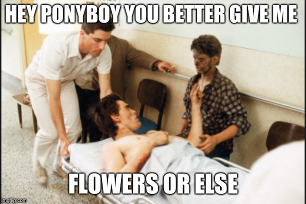 HEY PONYBOY YOU BETTER GIVE ME; FLOWERS OR ELSE | image tagged in funny meme | made w/ Imgflip meme maker